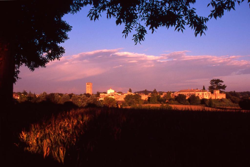 Antica Dimora Dell'Ortolano Apartment Castellaro  Luaran gambar